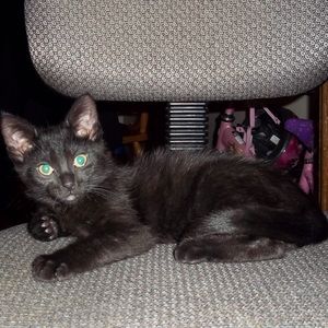 Meet your Posher, Kari